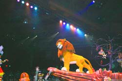 Festival of the Lion King 04
